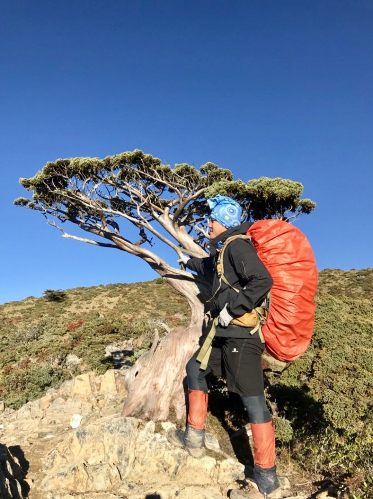 嘉明湖、向陽山、三叉山_335829