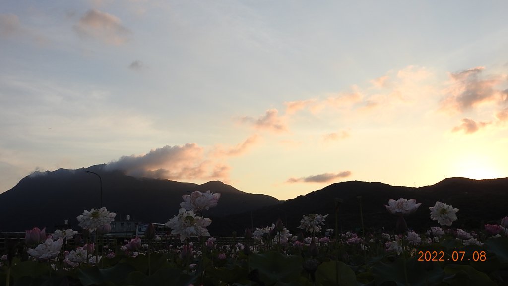 雲山水花鳥蝶 - 天龍國阿伯的日常 7/8&11_1757173