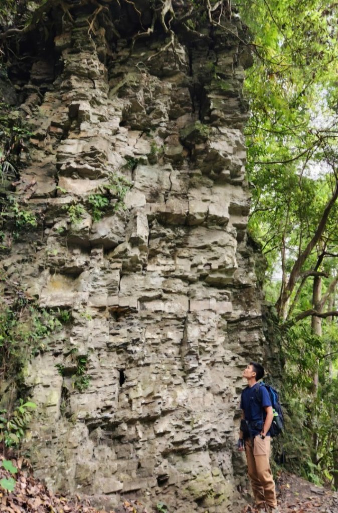 【中級山】水雲三星，鳥嘴山（上島山）_2743364