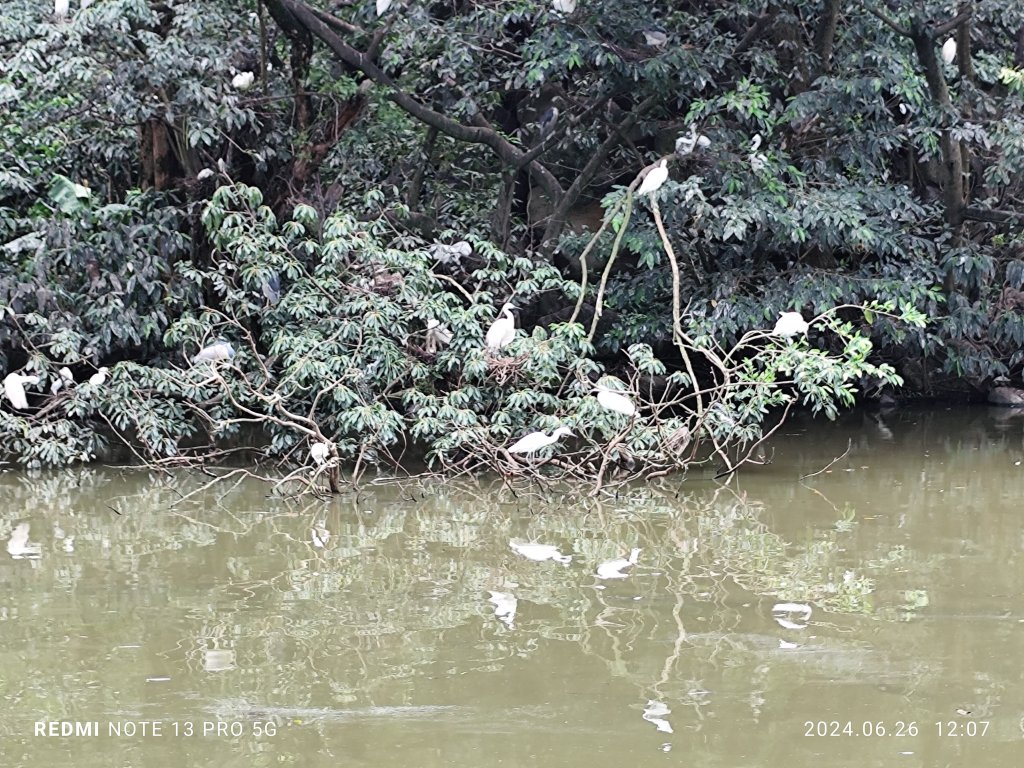 大安森林公園【走路趣尋寶】【臺北健走趣】_2536155