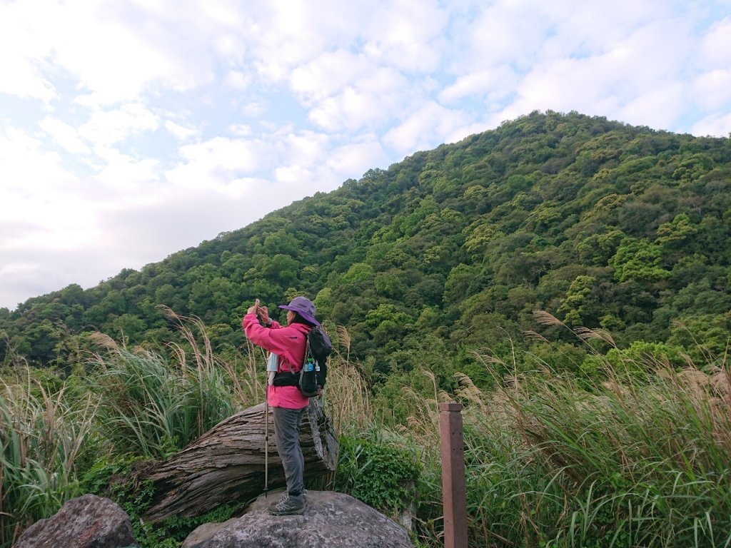 天母水管路步道、紗帽山、七星山來回走_1662134