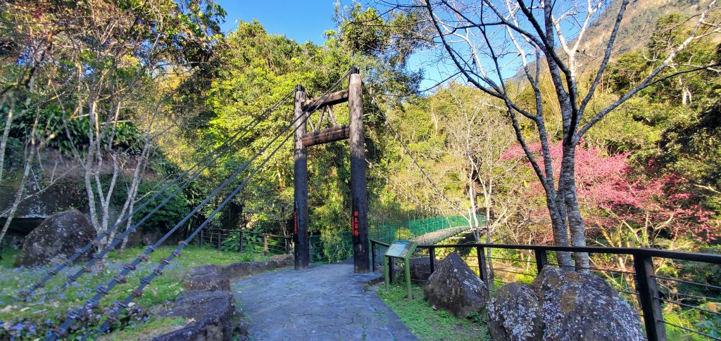 2025-01-30迷糊步道封面圖