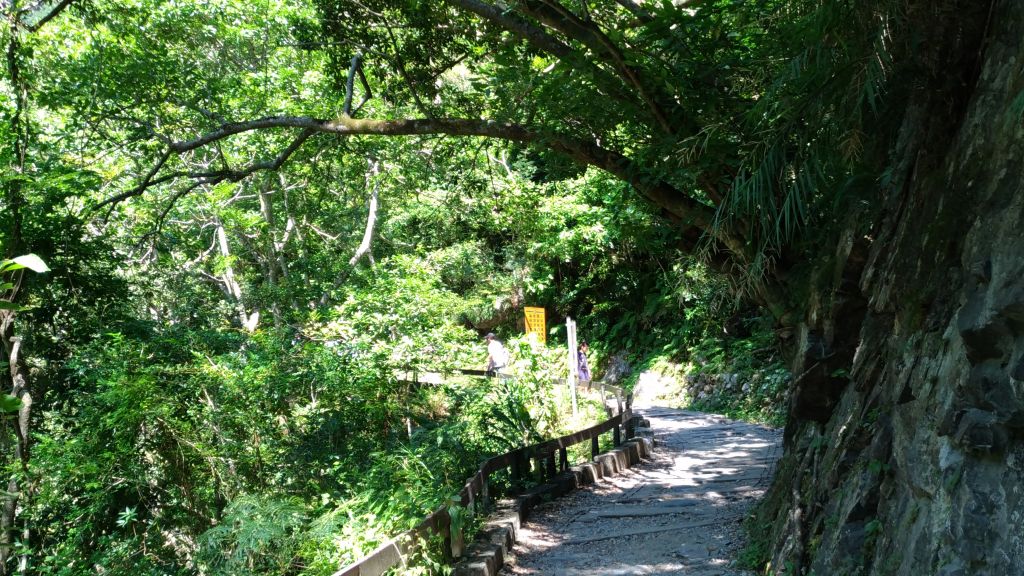 小錐麓古道&砂卡礑_179680