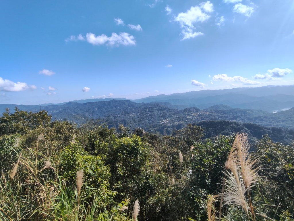 微笑山線：【二格山系】筆架連峰段_2963218