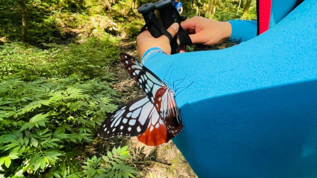 1101010拔刀爾山.美鹿山_1485184