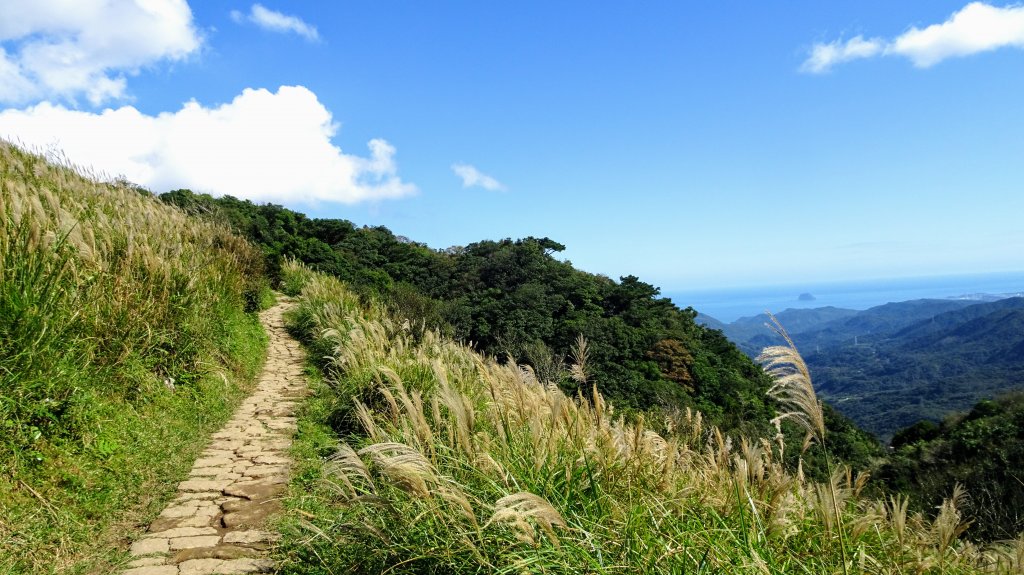 臺北大縱走第三段五指山到小油坑_1521509