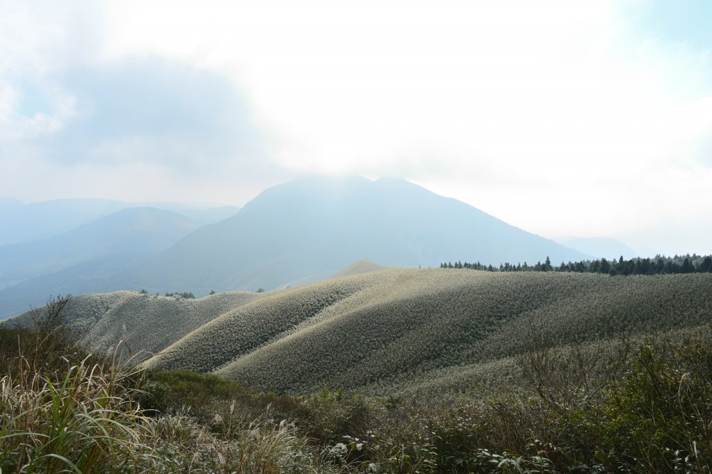 小觀音山Y型_1994493