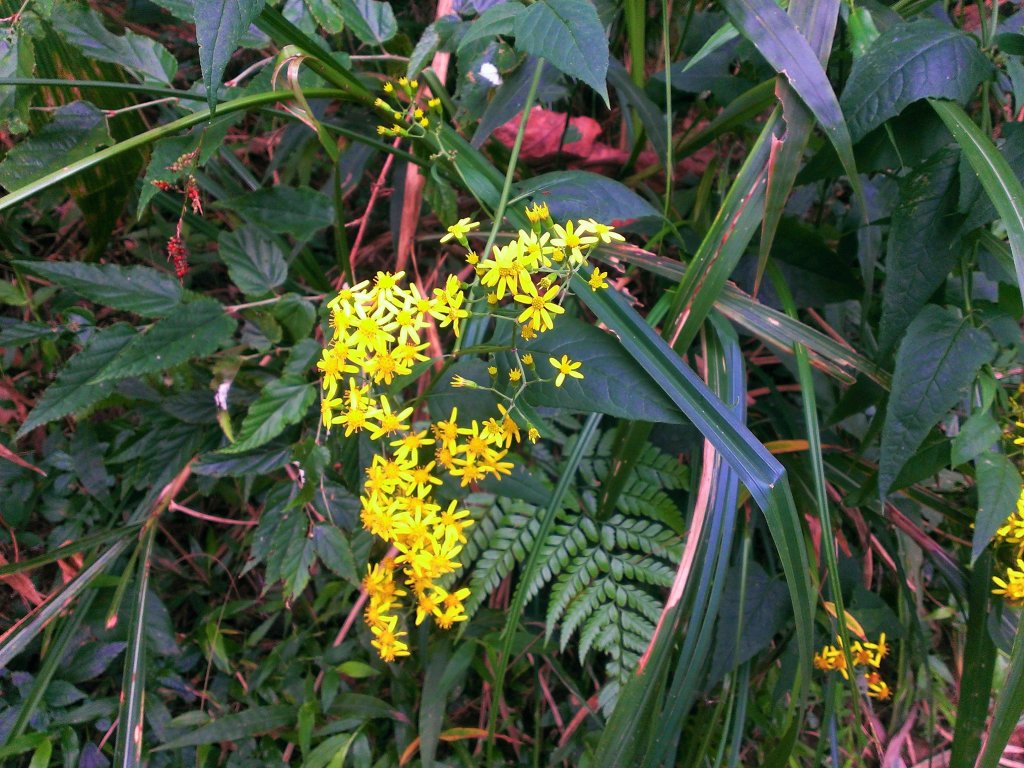 恣意橫貫五指之間_483019