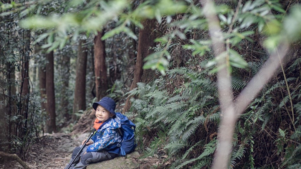 百變的夢幻山域 - 稍來南峰 & 稍來山_1483827