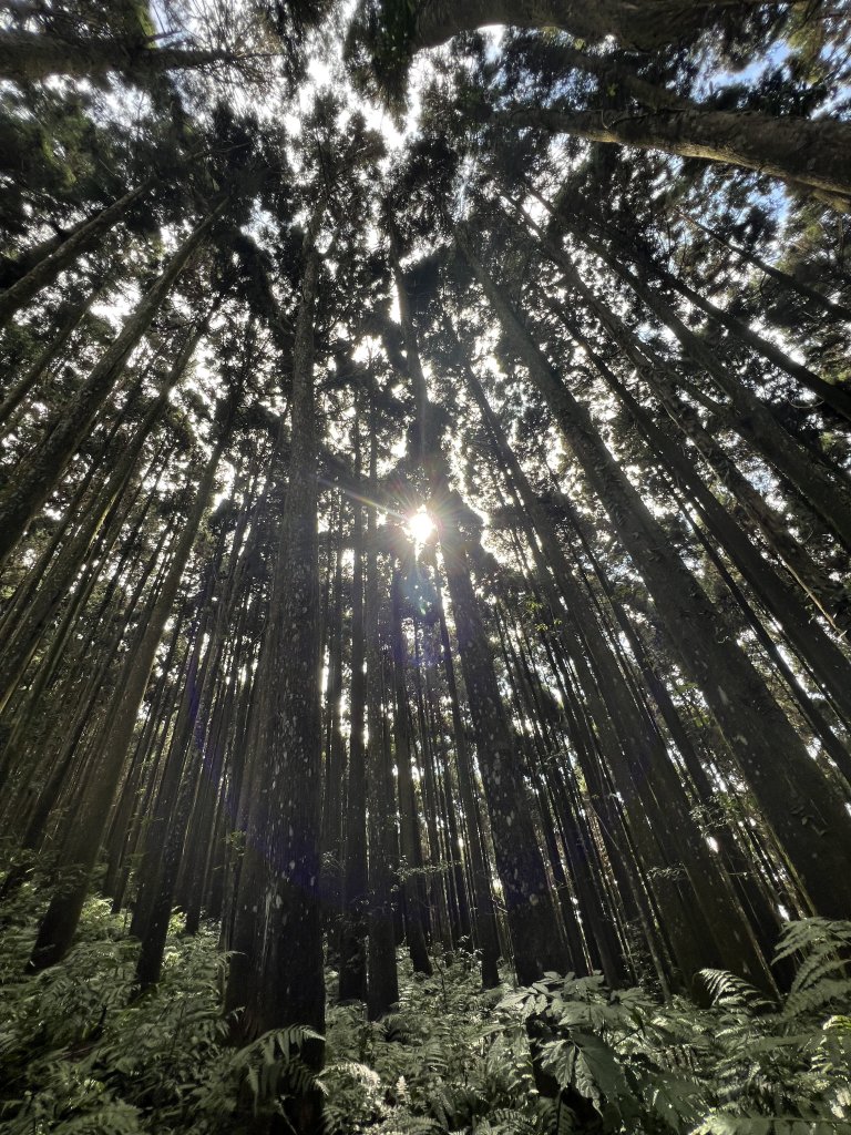 【鳥洗縱走】_1900401