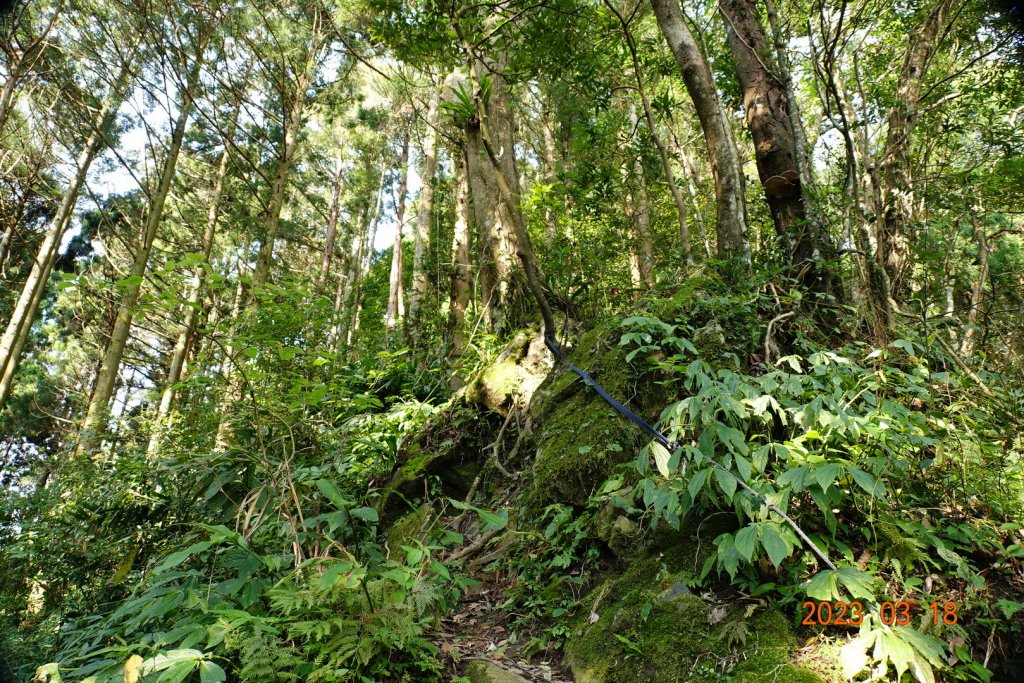 新竹 關西 馬武督山、蓮包山_2076576