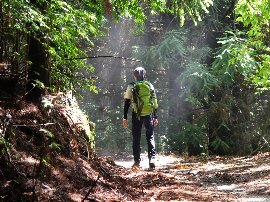 司馬限林道 訪 北坑駐在所_2811081