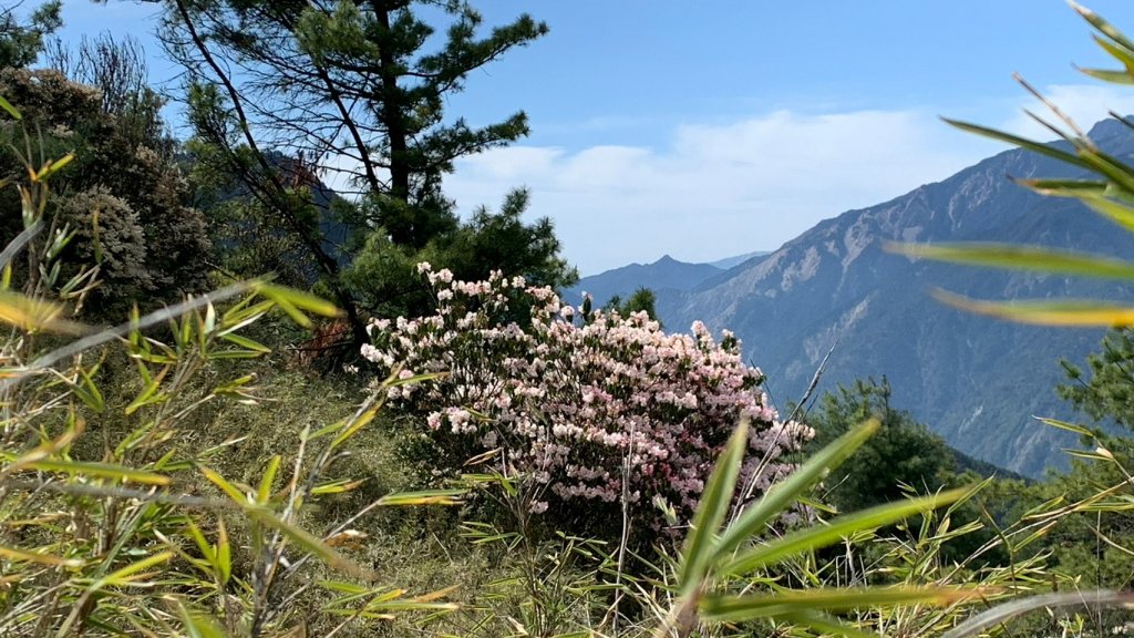 南投｜信義 郡大山兩天一夜_1487985
