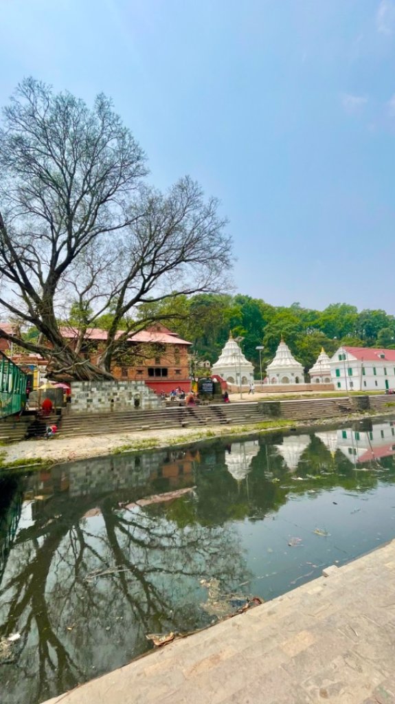 尼泊爾波卡拉-加德滿都寺廟自由行封面圖