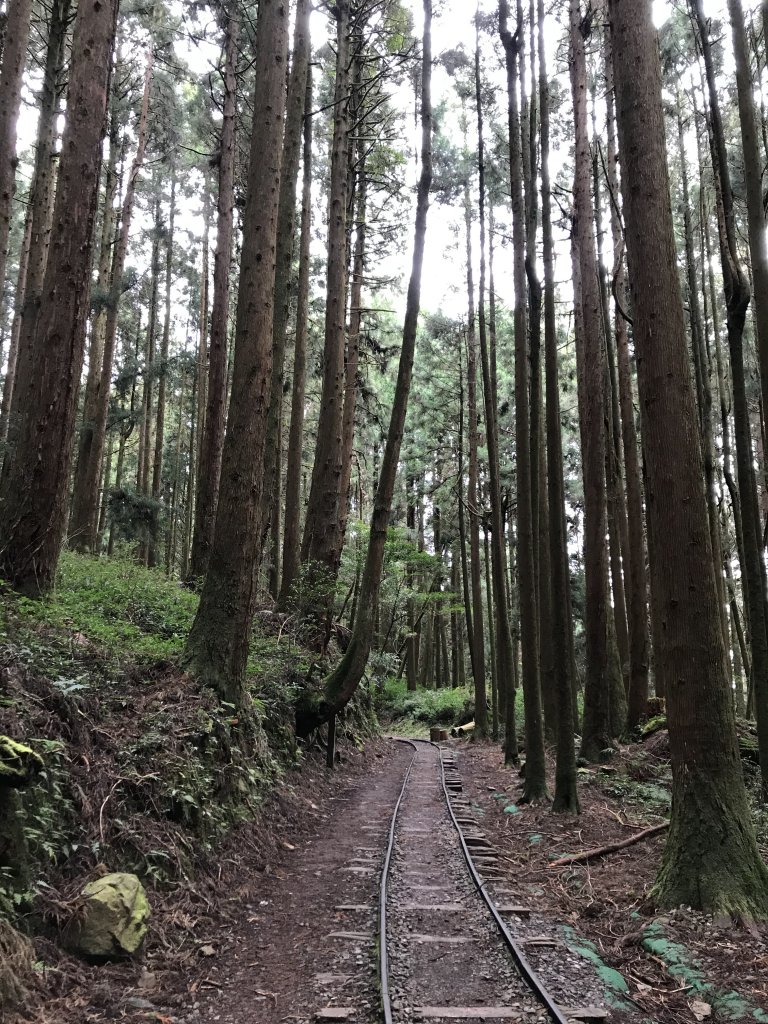 2019.12.21 特富野古道之旅_799788