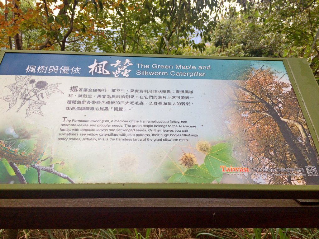 里佳部落風流洞、賞楓步道悠遊_463508