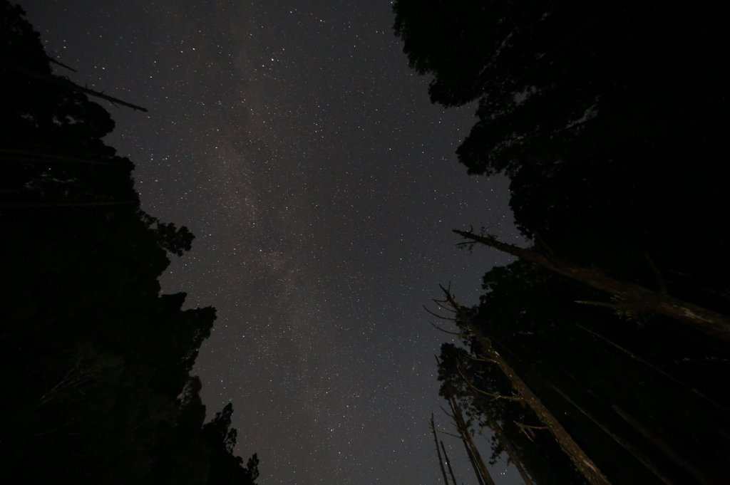 水樣森林 第一次在山裡過夜_659180