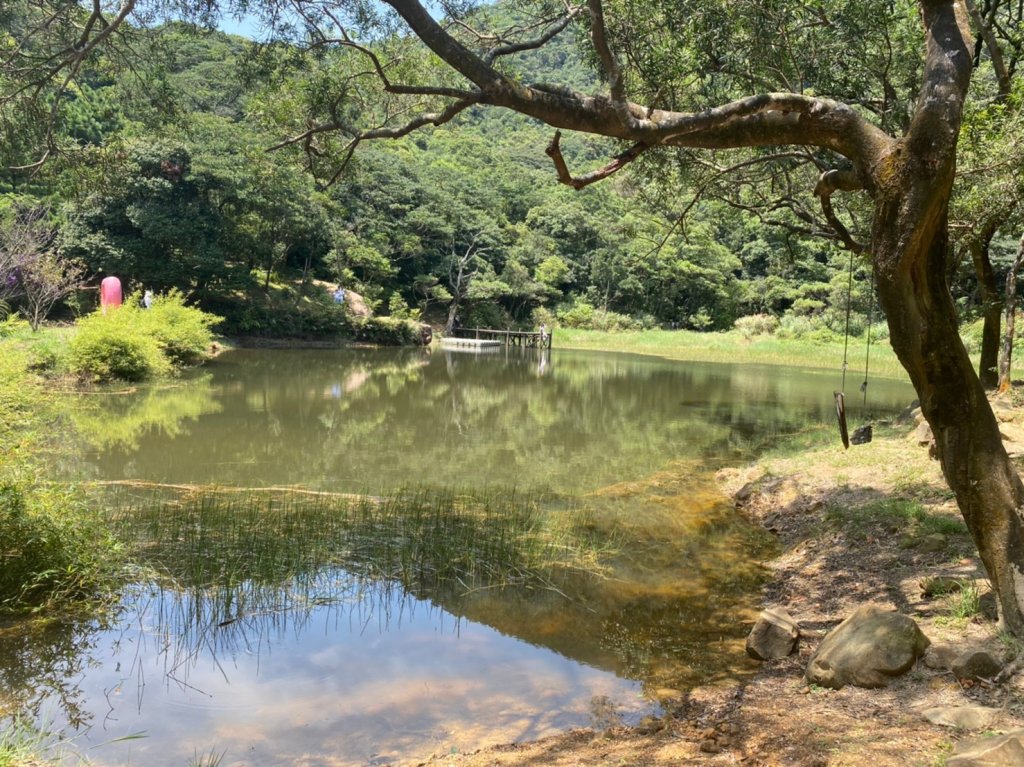 2020.09.05 新山夢湖封面圖