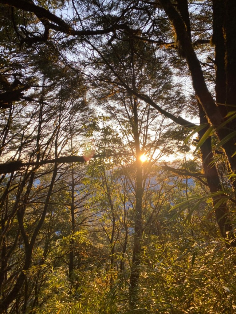 一日單攻白姑大山_821480