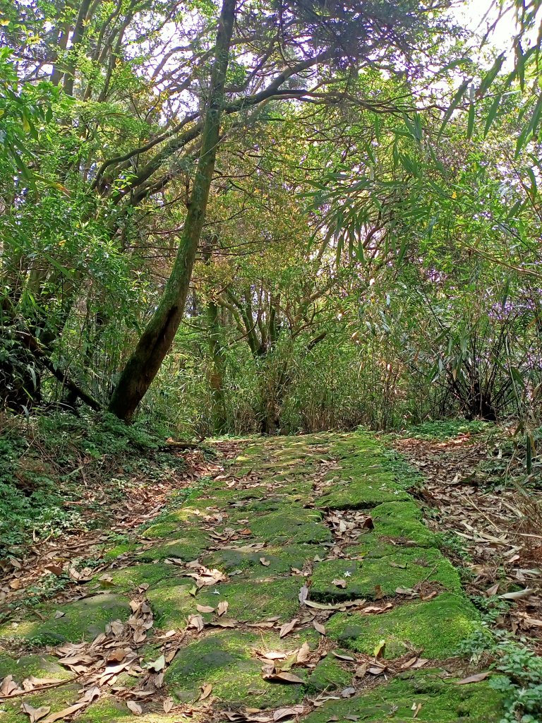 環七星山人車分道、百拉卡公路人車分道【走遍陽明山】_2107385