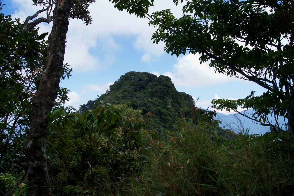 20180903水田林道登那結山_398353