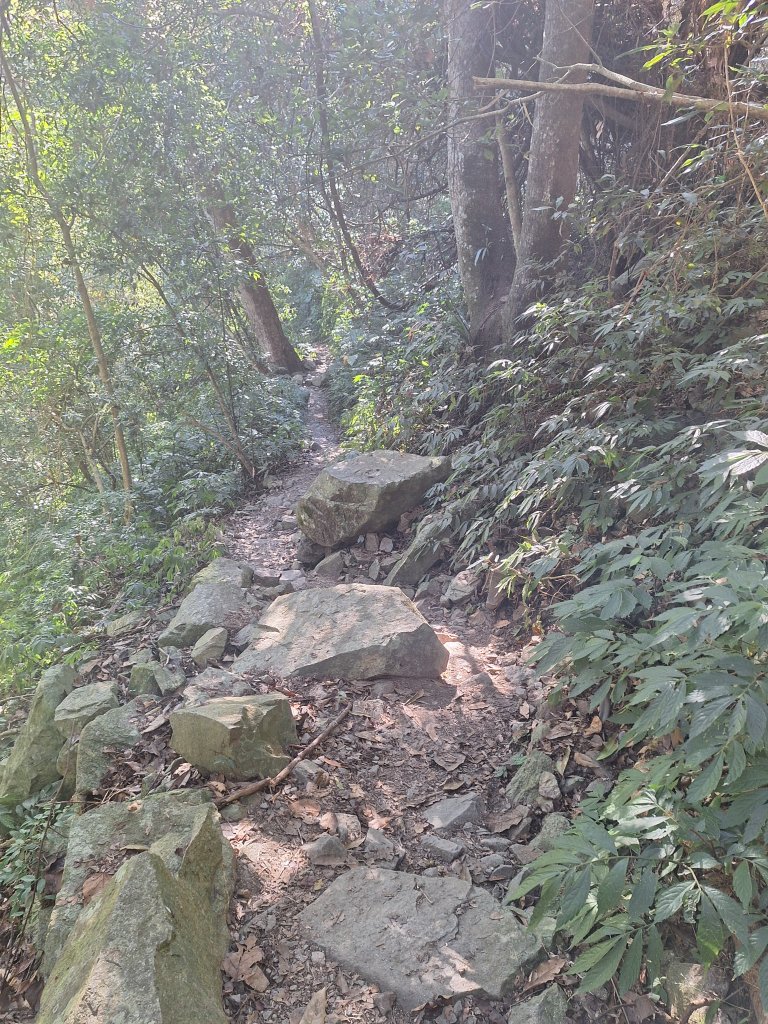 谷關蝴蝶谷瀑布20251120_2940799