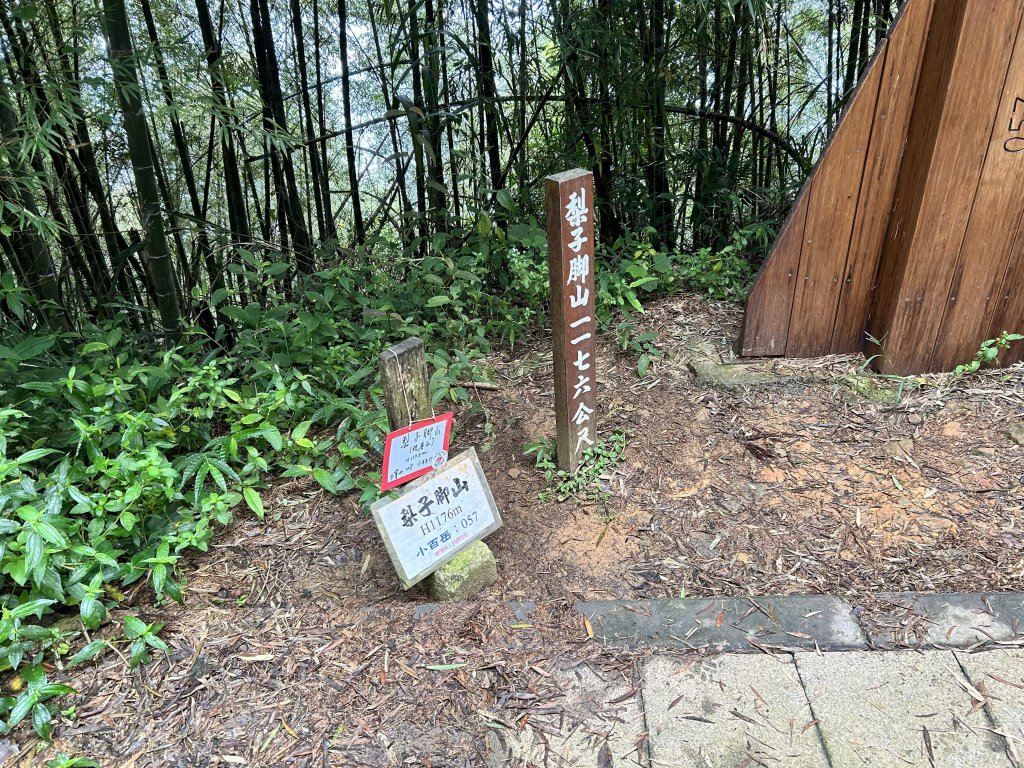 梨子腳山_2295100