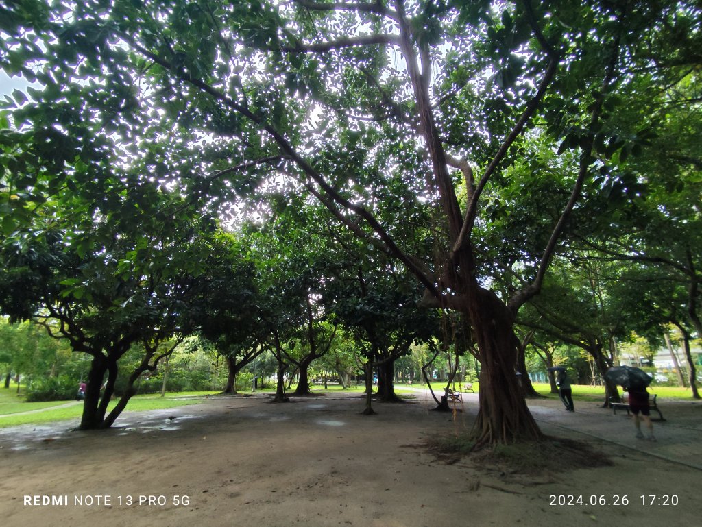 大安森林公園【走路趣尋寶】【臺北健走趣】_2536308