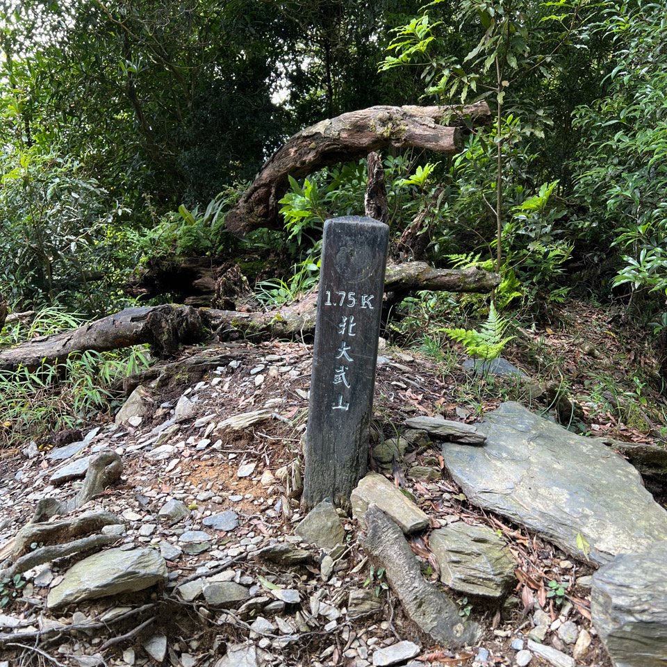 2022-06-06～07 北大武檜谷山莊兩天一夜_1730762