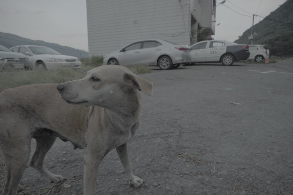 郡大山封面圖