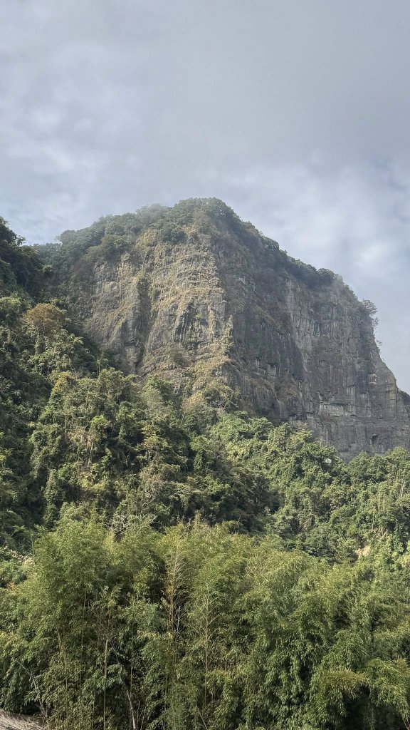 20260101小百岳馬那邦山賞楓團_2973934