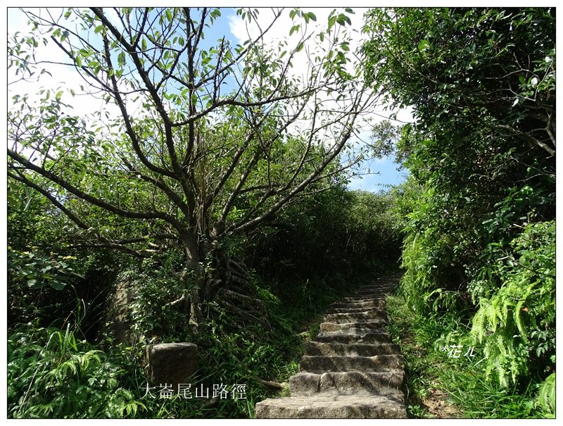 大崙頭尾山(小百岳)_657692