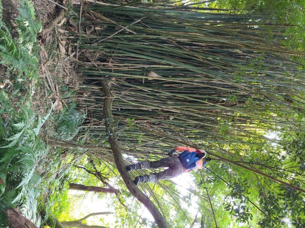 灣潭山和美山O型小走走_1279244