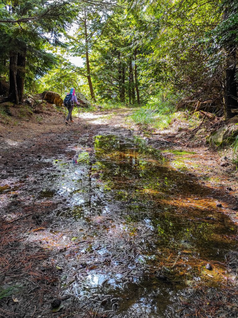 北三錐山_1491702