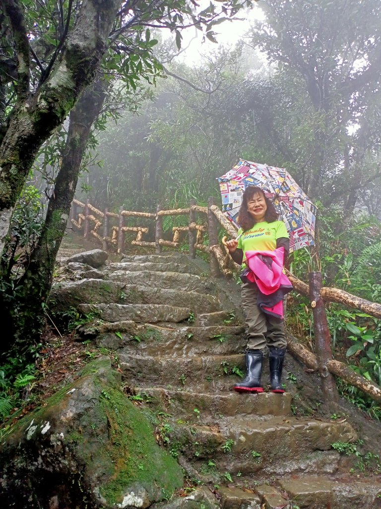 【小百岳集起來】#017 二格山芒花搖曳_1191584