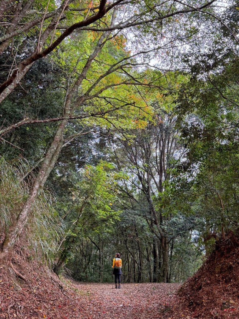 雪霸國家公園 雪見遊憩區 東洗水山_2928552