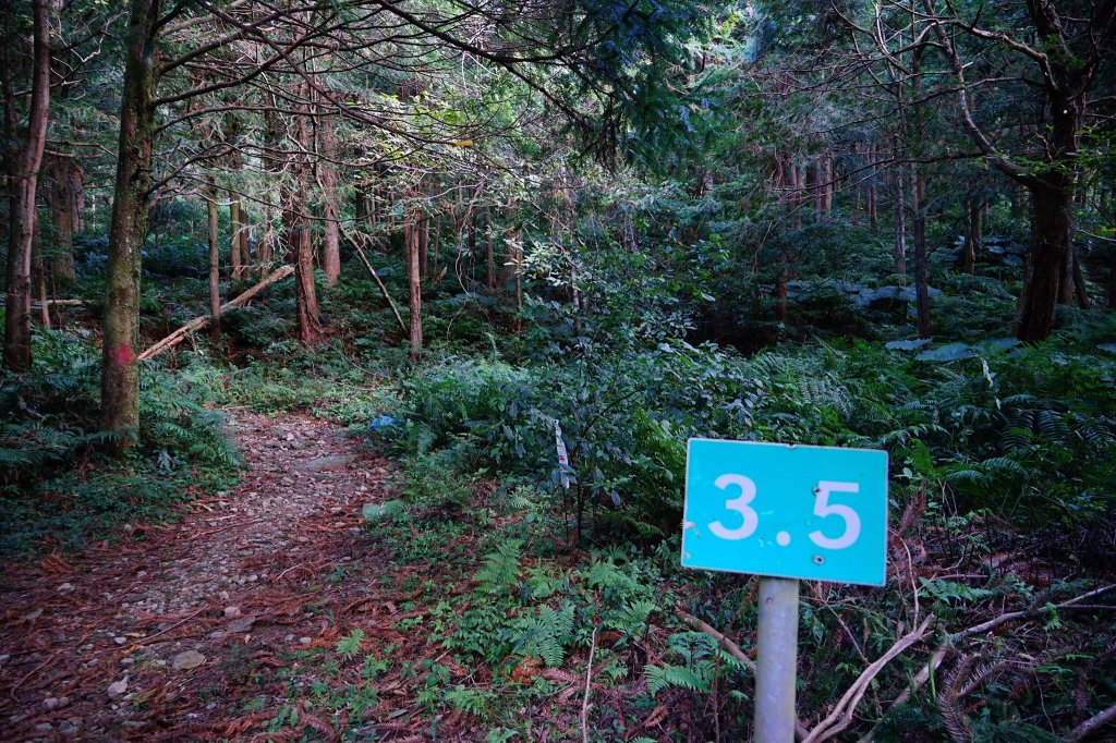 新竹關西鎮 水田林道之貴妃&那結山連走_1539670