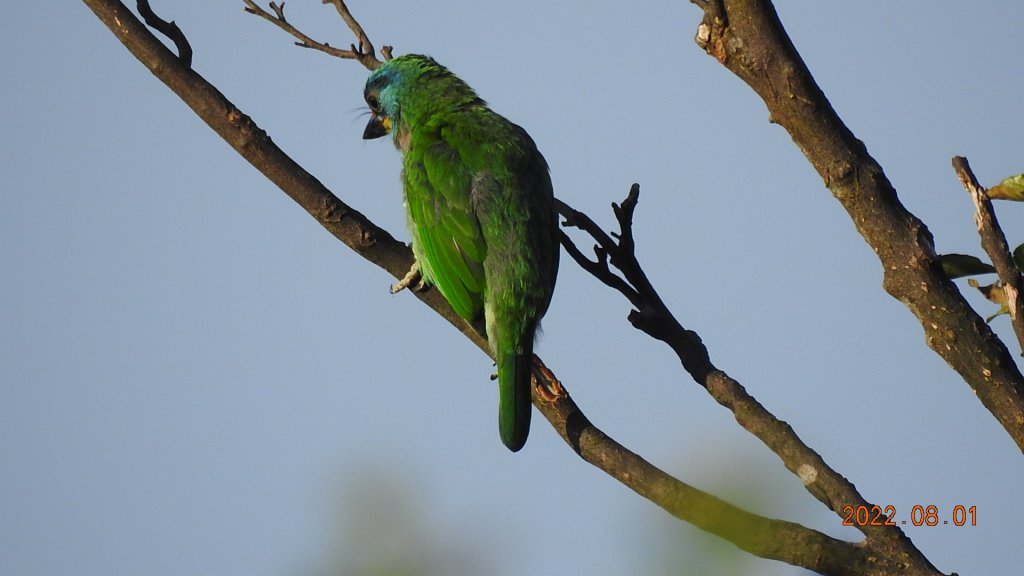 山中何所有，嶺上多白雲。只可自怡悅，不堪持贈君。_1787135