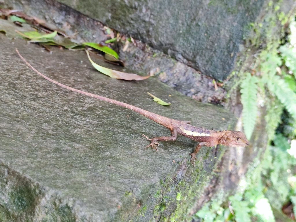 苗圃上七星下冷水坑_2647485