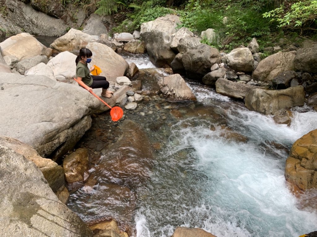 蝴蝶谷瀑布（谷關七雄）_1485982