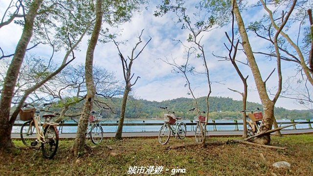 【南投魚池】悠遊騎乘。日月潭自行車環湖步道封面圖