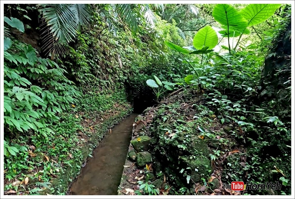 狗殷勤古道_2275344