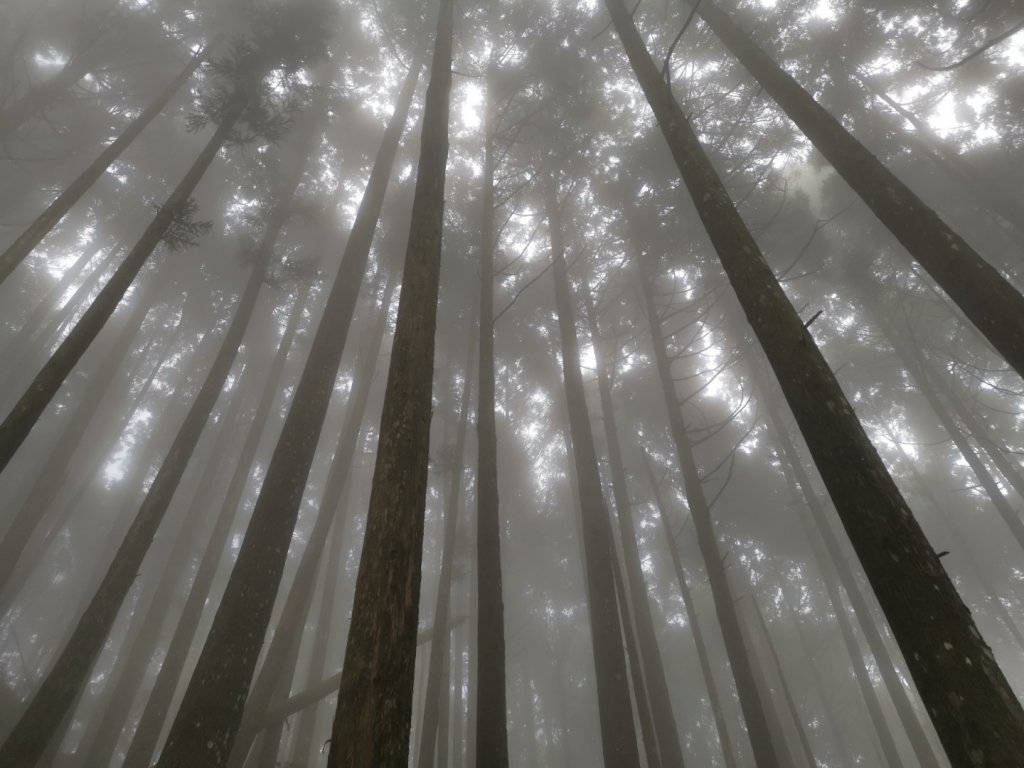 油羅山O 型1進2出封面圖