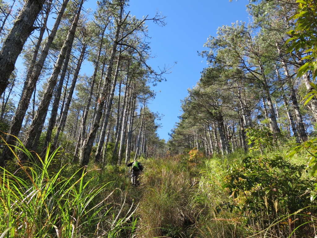 雲端上的羅馬假期_24624