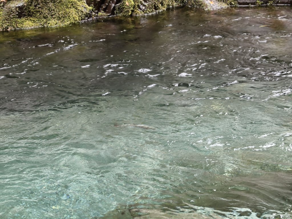 北一段(04/14)中央尖山 2025_0906~13_2885464