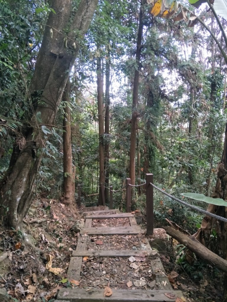 後尖山步道_1995178