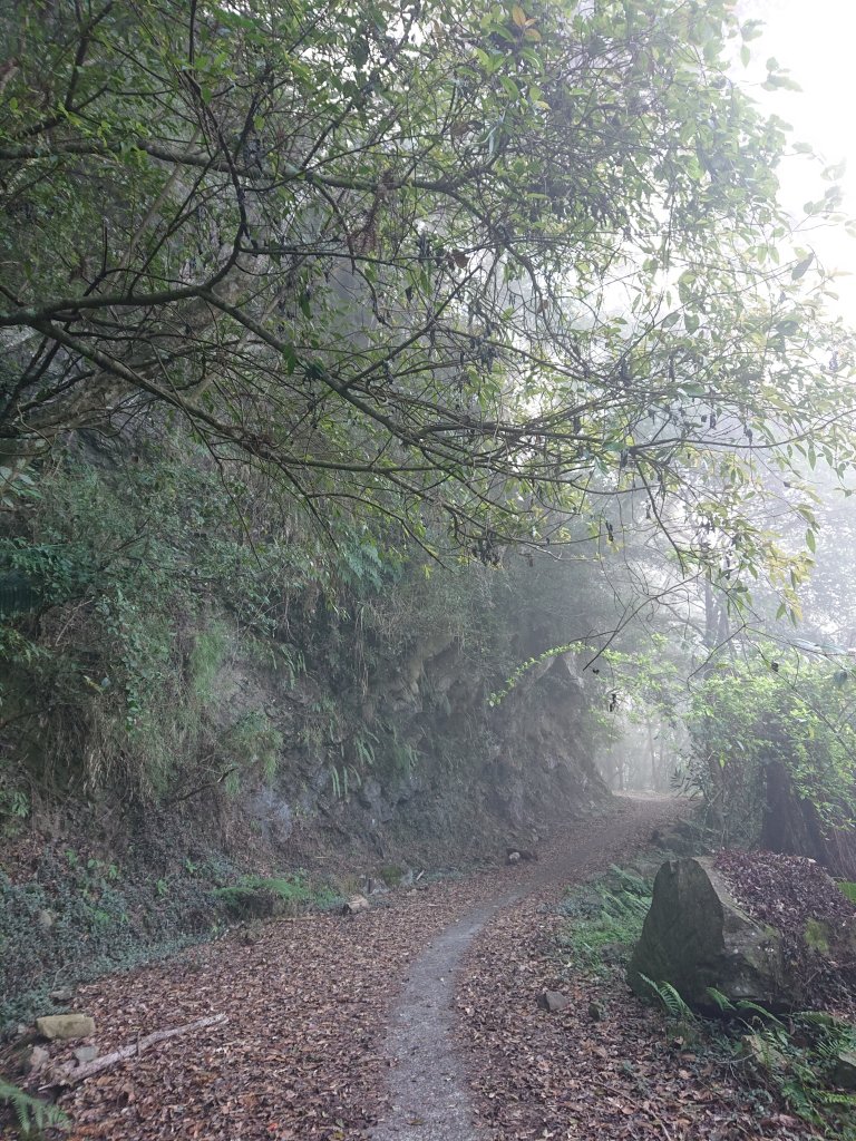 水田林道上貴妃山-鞍部石猴-那結山O型走_1307483