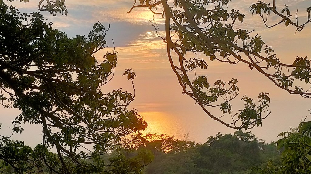 高雄柴山夕陽夜景_2770684