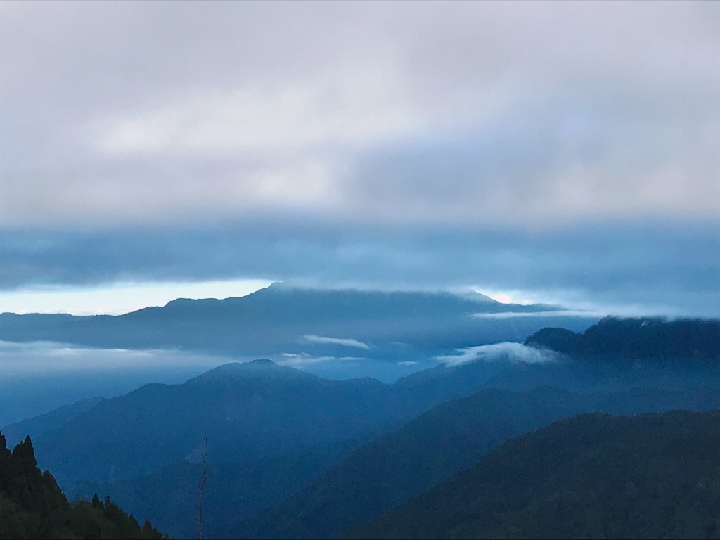 ~ 阿里山國家森林遊樂區 ~_1200090