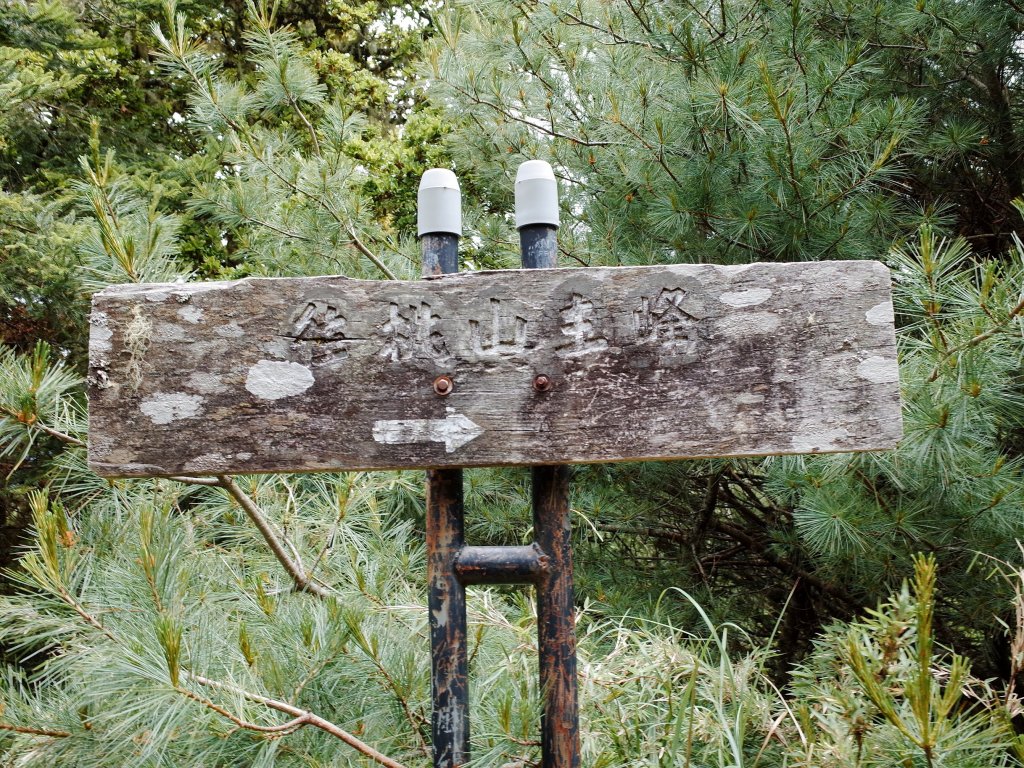 桃山&一點也不鳥的喀拉業山_632686